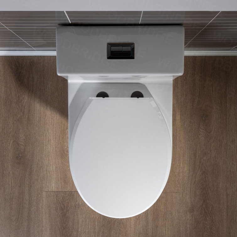 White Elongated Dual-Flush High Efficiency Toilet with Soft-Closing Seat