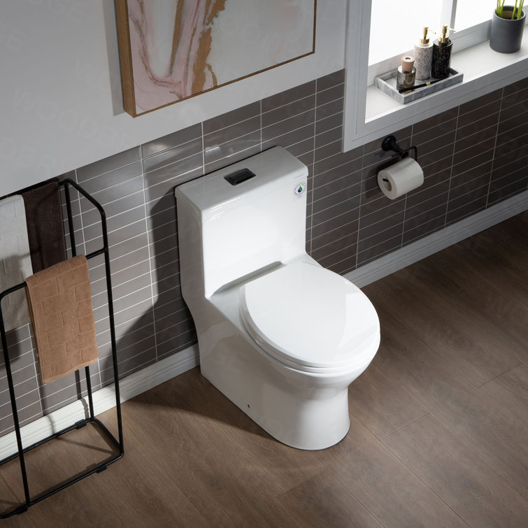 White Elongated Dual-Flush High Efficiency Toilet with Soft-Closing Seat