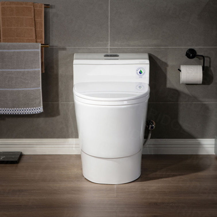 White Ceramic One-Piece Dual Flush Toilet with Chrome Button