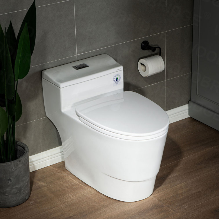 White Ceramic One-Piece Dual Flush Toilet with Chrome Button