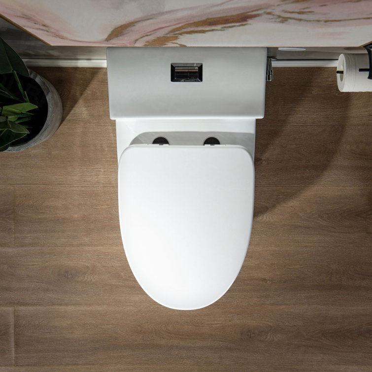 White Ceramic One-Piece Dual Flush Toilet with Chrome Button