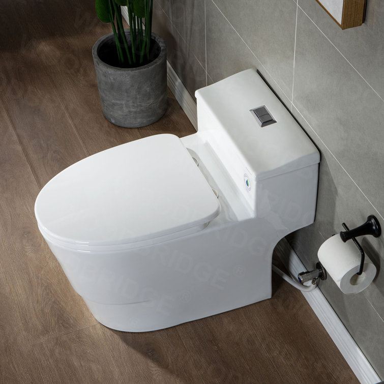 White Ceramic One-Piece Dual Flush Toilet with Chrome Button