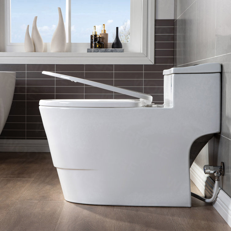 White Ceramic One-Piece Dual Flush Toilet with Chrome Button
