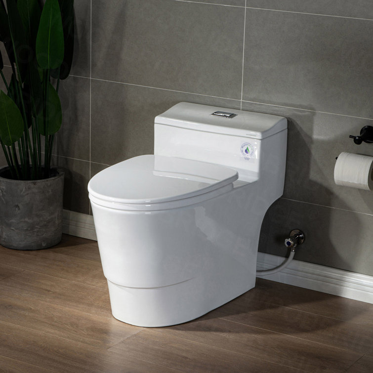 White Ceramic One-Piece Dual Flush Toilet with Chrome Button