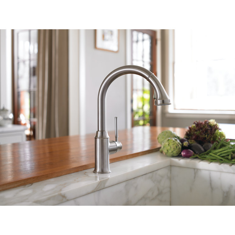 Steel Optik Stainless Steel Pull-Out Spray Kitchen Faucet