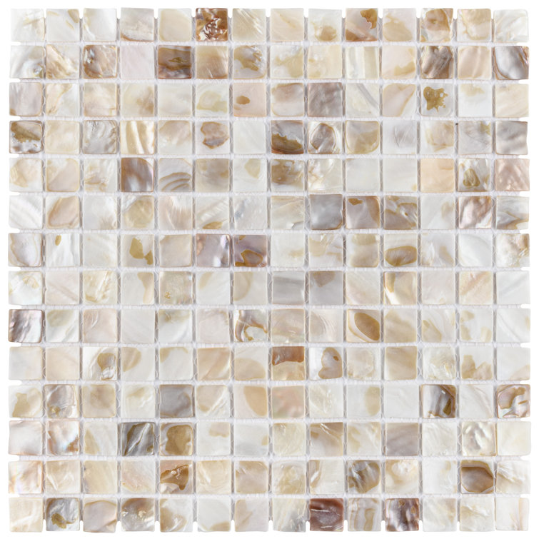 Natural Shell 12" x 12" Mosaic Wall Tile