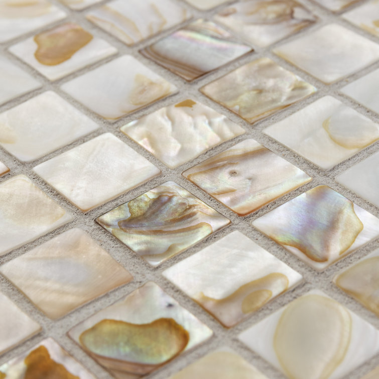 Natural Shell 12" x 12" Mosaic Wall Tile