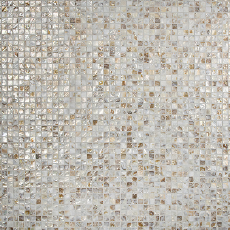 Natural Shell 12" x 12" Mosaic Wall Tile
