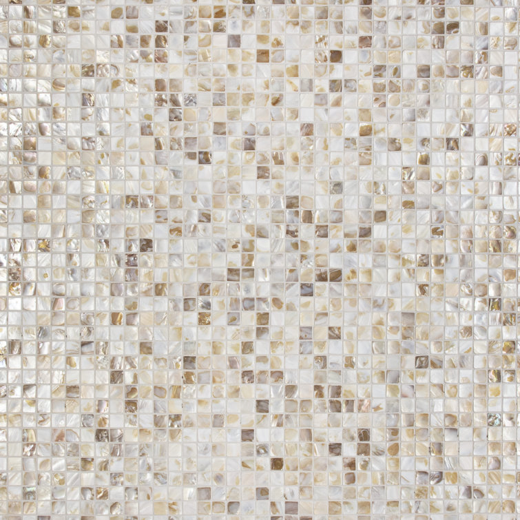 Natural Shell 12" x 12" Mosaic Wall Tile