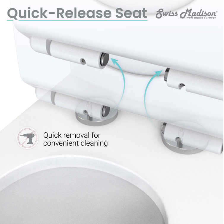 Glossy White Round Ceramic Dual-Flush Toilet