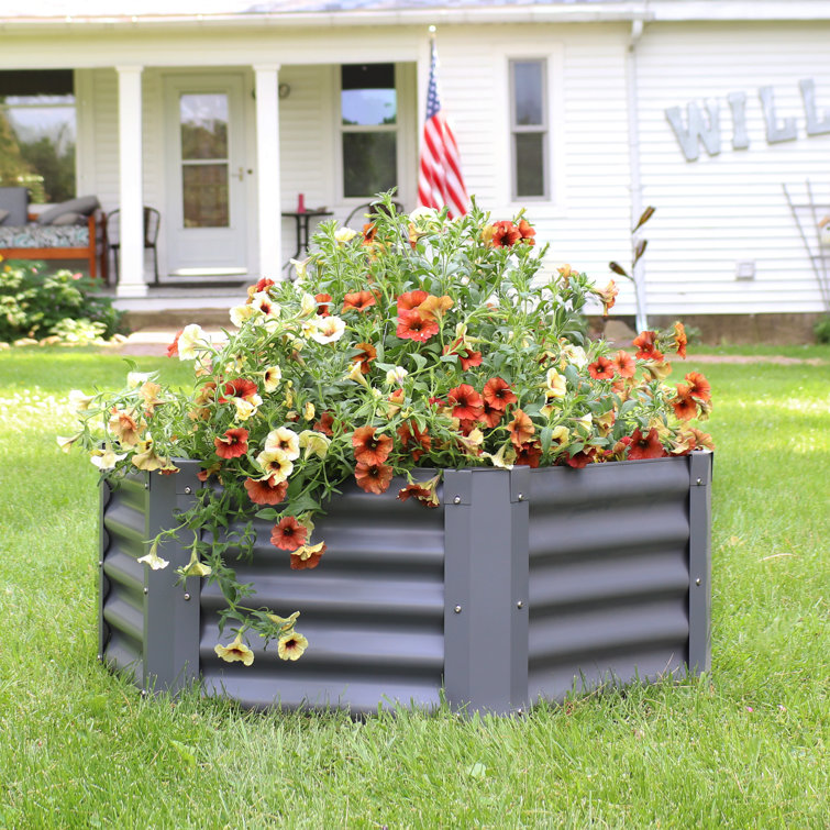 Gray Powder-Coated Steel Hexagon Raised Garden Bed Kit