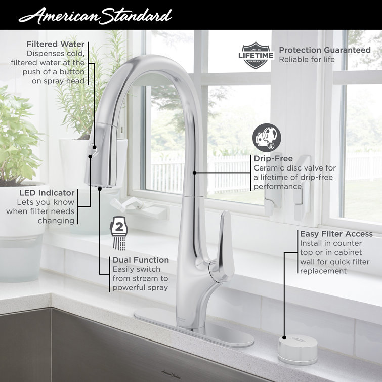 Saybrook Chrome Pull-Down Kitchen Faucet with Filter