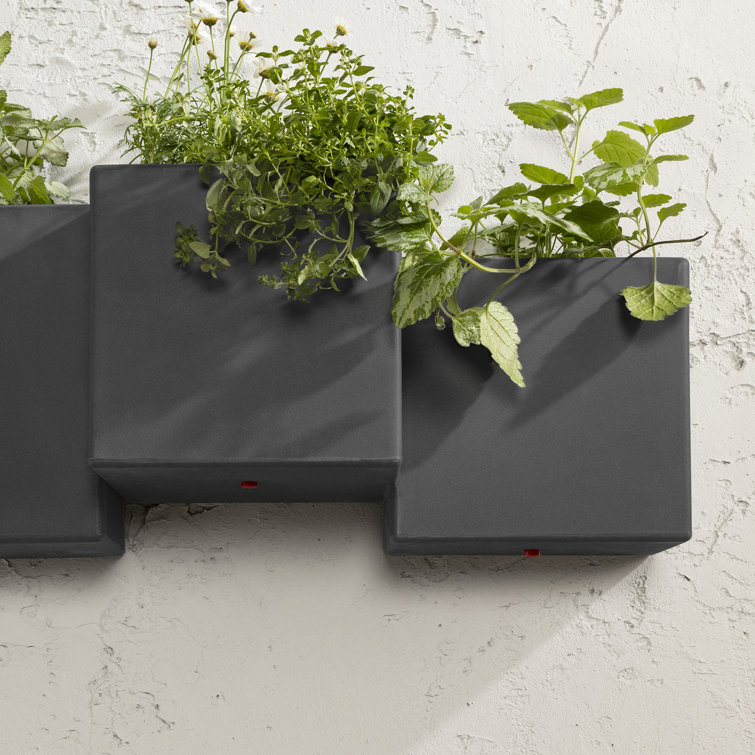 Dark Gray Polyethylene Resin Wall Planter Set for Indoor/Outdoor Use