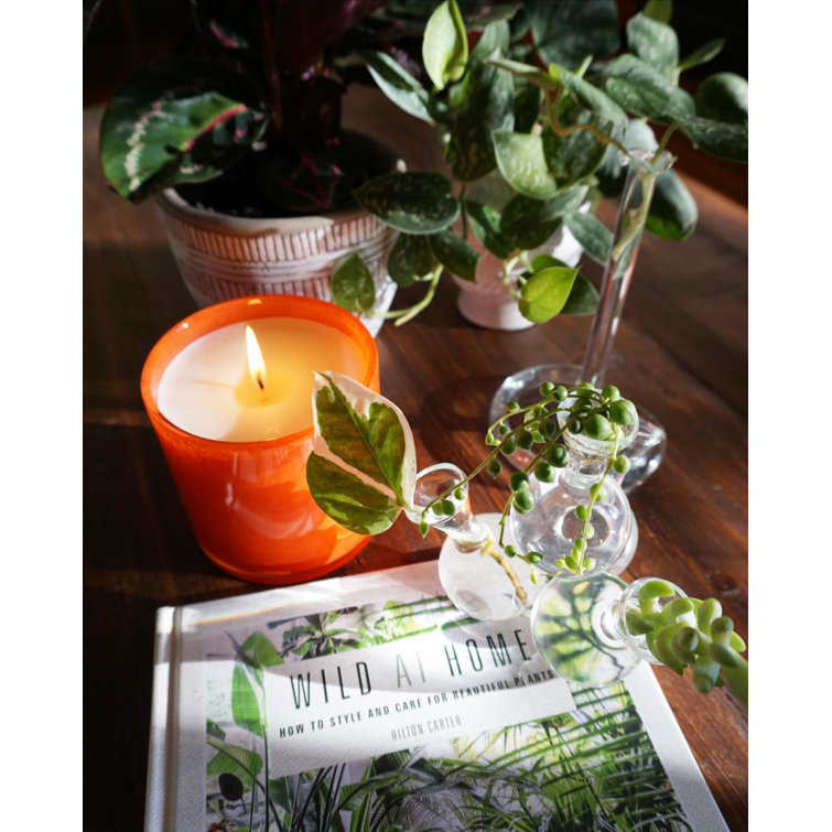 Green Lavender Soy Scented Glass Container Candle