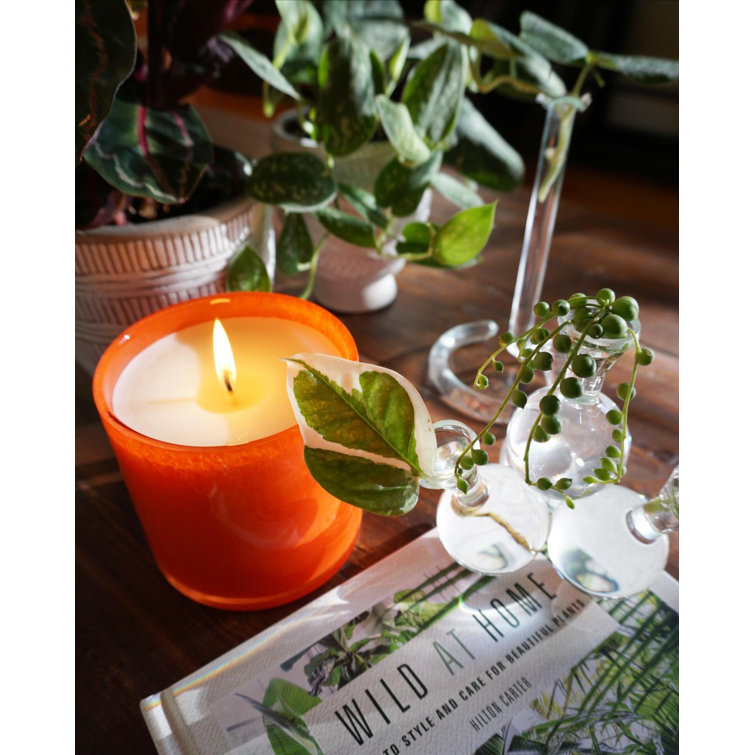 Green Lavender Soy Scented Glass Container Candle