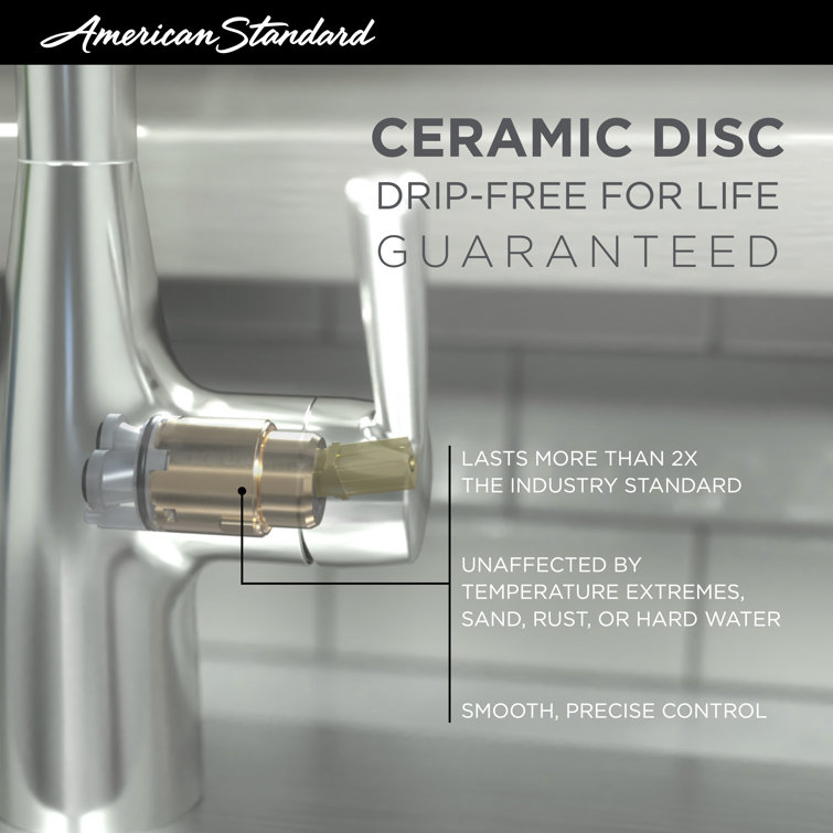 Edgewater Polished Chrome Semi-Professional Kitchen Faucet with Pull-out Spray