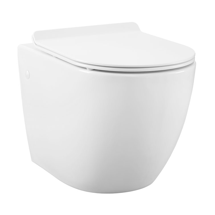 White Wall-Mounted Dual Flush Elongated Toilet
