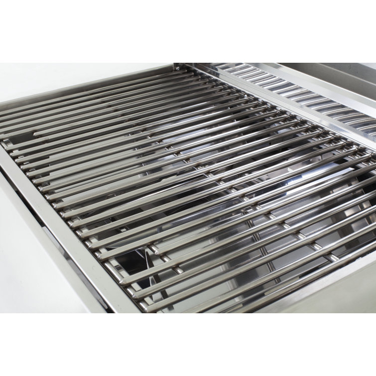 Pit Boss 22" Stainless Steel 2-Burner Portable Propane Gas Grill