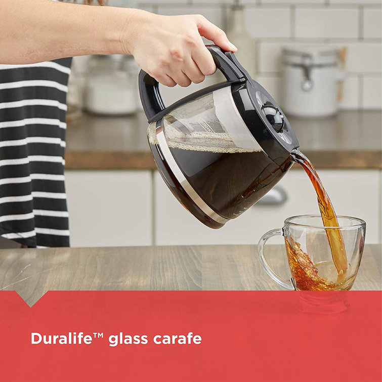 Black 5-Cup Freestanding Coffee Maker with Glass Carafe