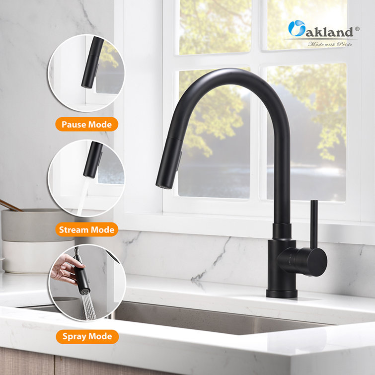 Matte Black Single-Hole Pull-Out Spray Kitchen Faucet