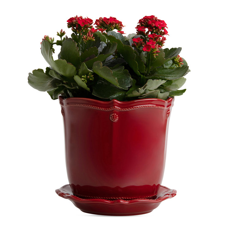 Whitewash Ceramic 7" Planter with Saucer