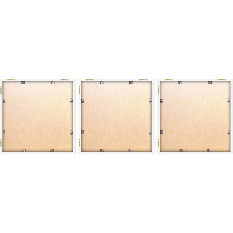 Pretty Shells Triptych C - 12X12