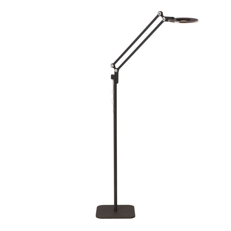 Edison Adjustable Black Small LED Task Floor Lamp