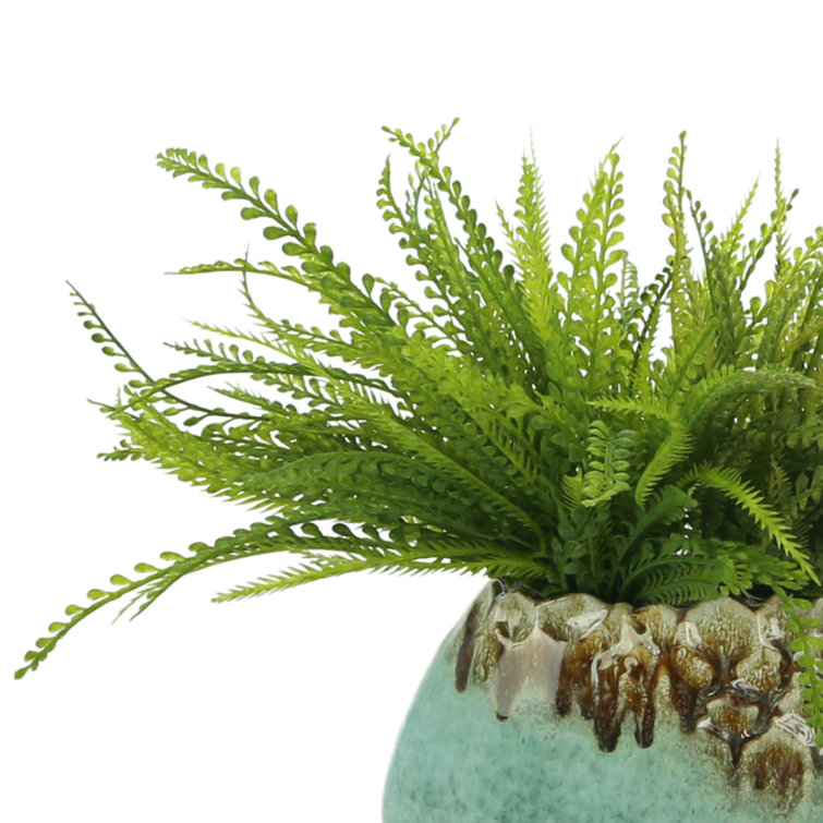 Vibrant Green Polysilk Artificial Plant in Round Ceramic Pot