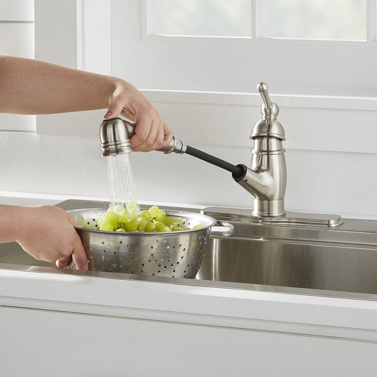 Stainless Steel Traditional Pull-Out Kitchen Faucet with Spray