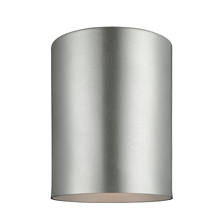 Transitional Indoor/Outdoor Ceiling Flush Mount in Painted Brushed Nickel