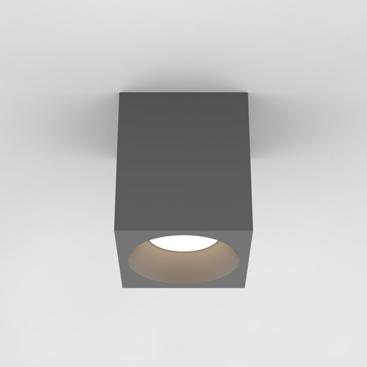 Textured Black Aluminum LED Indoor/Outdoor Flush Mount Light