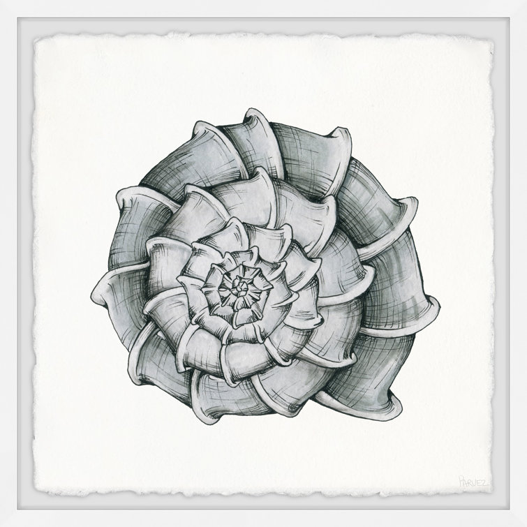 Pretty Shells Triptych C - 12X12