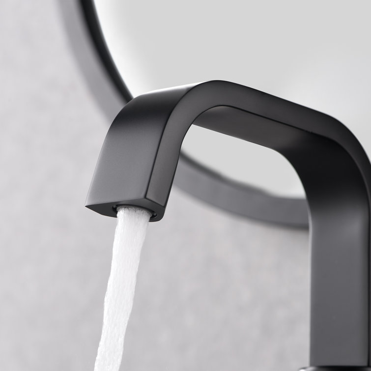 Matte Black Single-Handle Bathroom Faucet with Drain Assembly