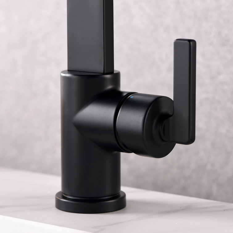 Matte Black Single-Handle Bathroom Faucet with Drain Assembly