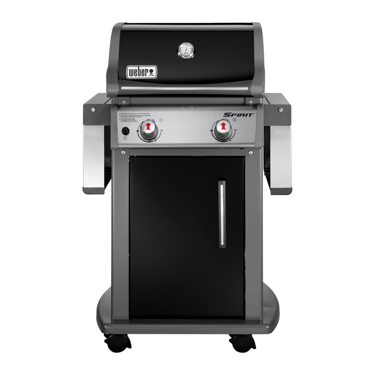 Black Stainless Steel 2-Burner Propane Gas Grill with Rotisserie