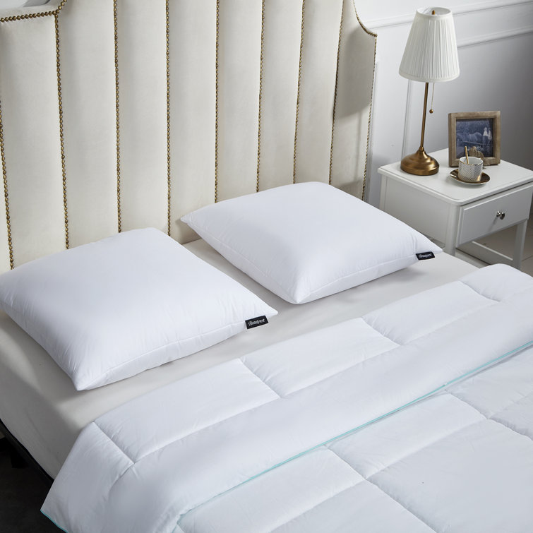 Beautyrest White Down Alternative Box Bed Pillow Set