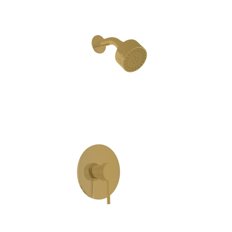 Satin Brass Wall Mounted Shower Kit with Round Trim