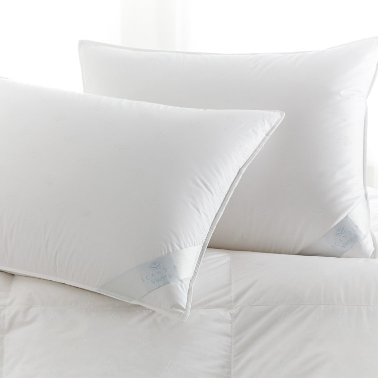 Standard White Cotton Hypoallergenic Medium Density Pillow