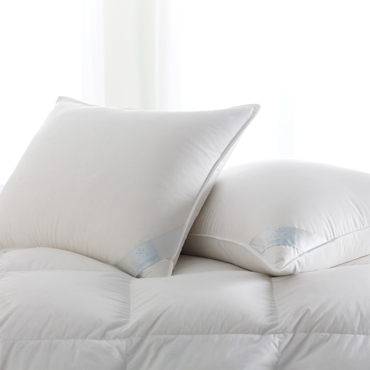 Queen White Firm Hypoallergenic Down Pillow