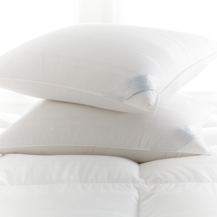 Queen White Medium Density Down Pillow with Cotton Cover