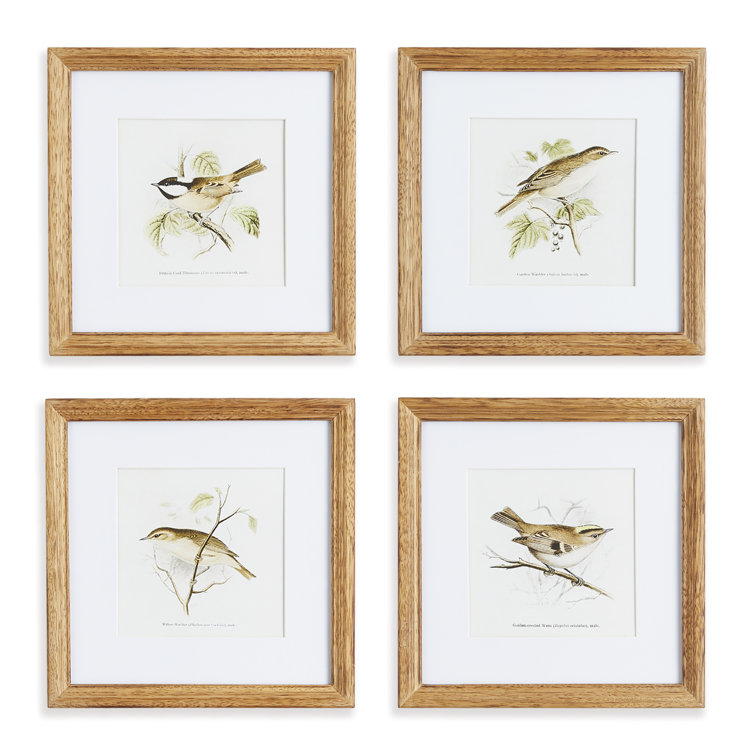 Natural Sepia Bird Study Set of Four Petite Prints