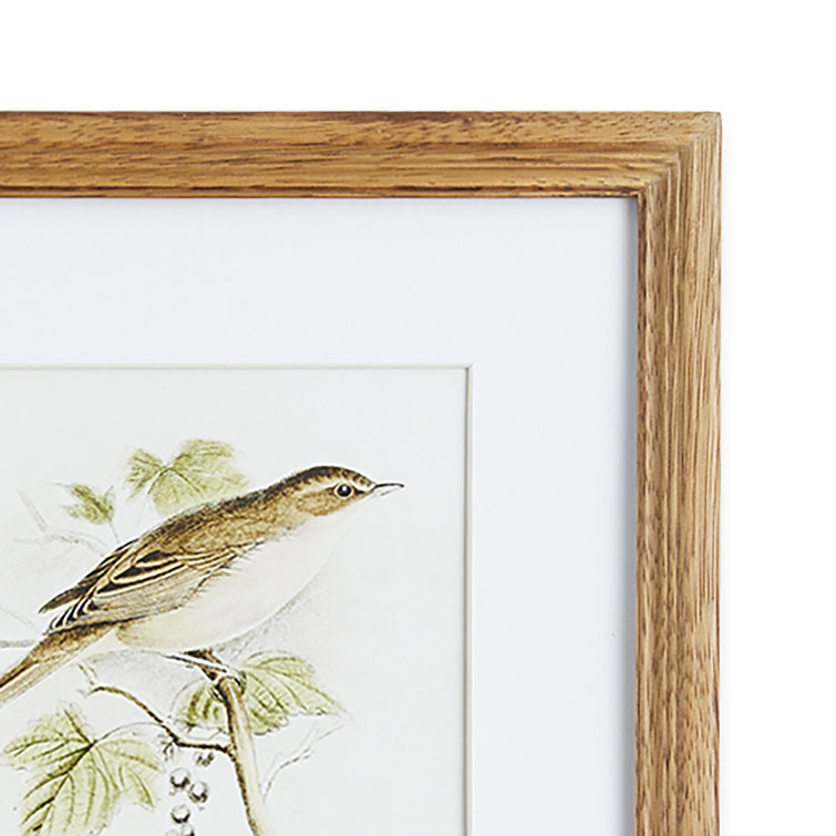 Natural Sepia Bird Study Set of Four Petite Prints