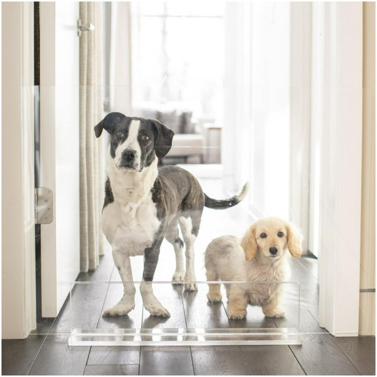 Clear Acrylic Freestanding Pet Gate Panel, 30 Inches Tall