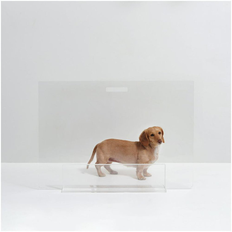 Clear Acrylic Freestanding Pet Gate Panel, 30 Inches Tall