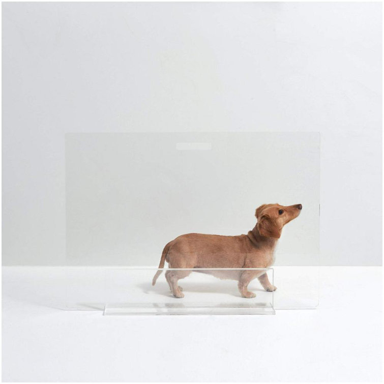 Clear Acrylic Freestanding Pet Gate Panel, 30 Inches Tall