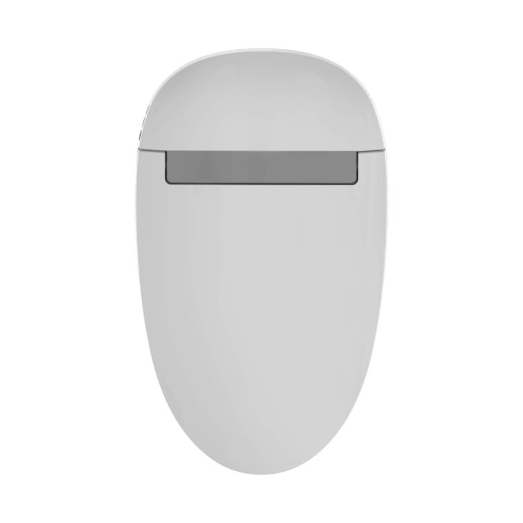 Modern White Elongated Dual-Flush High Efficiency Toilet
