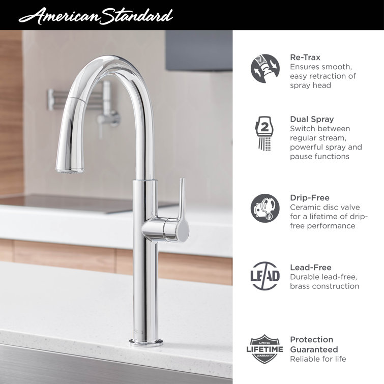 Polished Chrome Pull-Down Kitchen Faucet with Spray