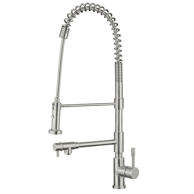 Elite 360° Swivel Stainless Steel Kitchen Faucet with Dual-Control Spray