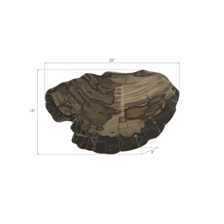 Gray and Brown Resin Petrified Wood Wall Décor