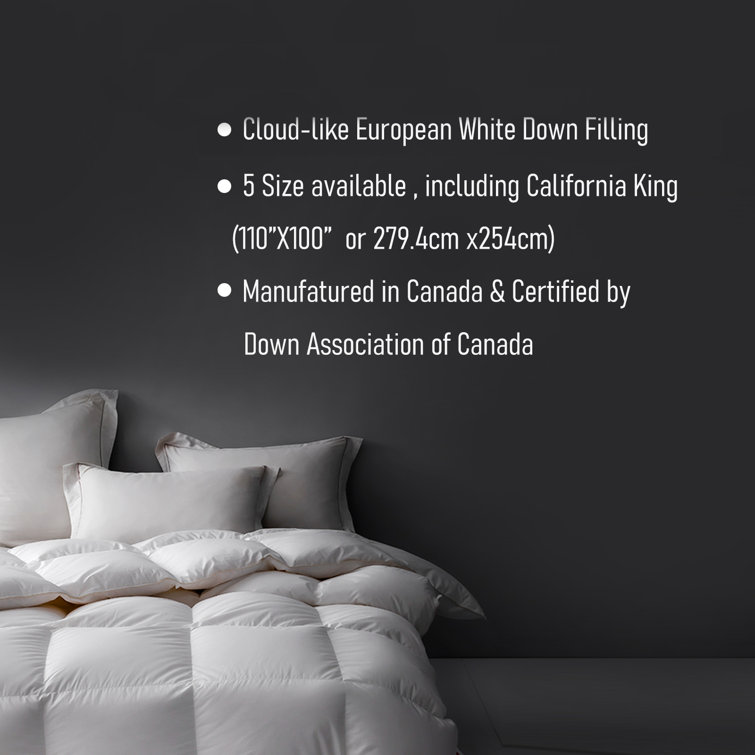 Queen White Duck Down Summer Comforter with Cotton Casing